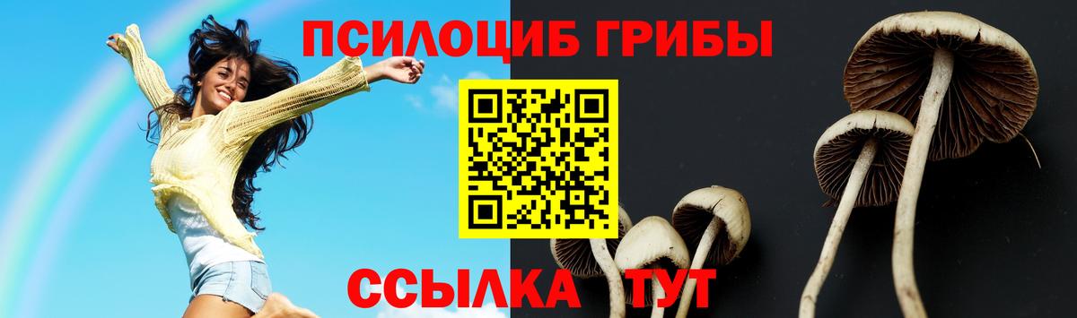 Псилоцибиновые грибы ЛСД  Галлюциногенные грибы Cubensis  Вход с VPN  где купить наркоту  Домодедово 